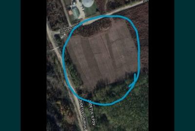 Teren de 8900 mp, în Central - 2