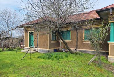 Casă individuală cu 5 camere cu Teren 3400 Mp în Central - 2