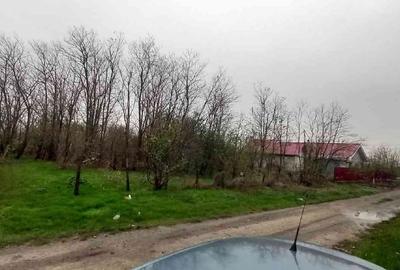 Teren de vanzare, judet Ialomita, comuna Salcioara, Rasi - 2