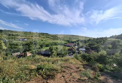 Casa pe un nivel, cu teren 2997 mp, panorama superba,Suceagu - 2