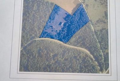 Spațiu comercial, în Chinteni - 2