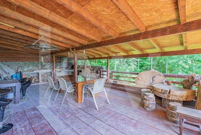 Casa de vacanta spatioasa cu priveliste spectaculoasa in Tocile - 9