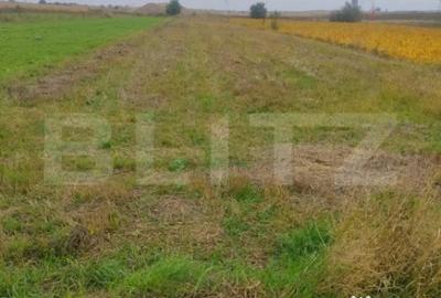 Teren de 2600 mp, în Rădăuți