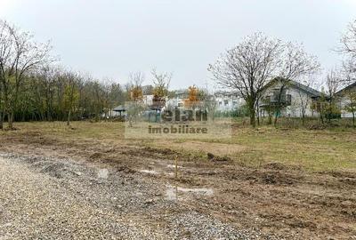 Snagov Ciofliceni - Teren 716 mp, d 30 m, gaz, curent, asfalt, padure - 3