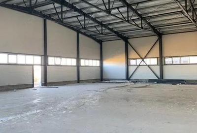 Hala industriala 600 mp, curte 1398 mp, parcare, toate utilitatile - Ghiroda - 5