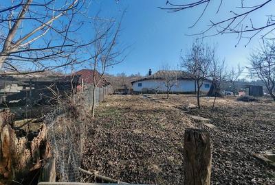 Casă cu Teren 720 Mp în Crihan - 1