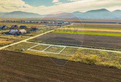 Teren Construcții intravilan de 650 mp, în Est - 6