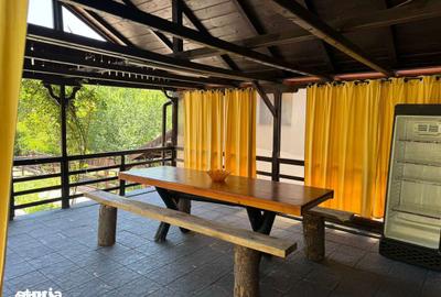 Casă cu 6 camere cu Teren 2700 Mp în Golești - 14
