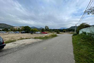 Teren intravilan, investie Hale Industriale, zona Est - 3