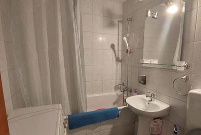 Garsonieră semidecomandată în Dristor - 3