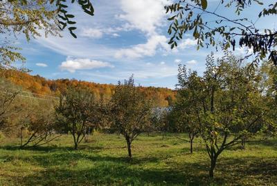 Teren în Roșu - 13