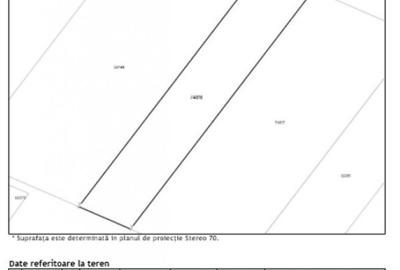 Teren intravilan neimprejmuit CF 74818, 4451mp - 6