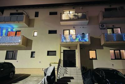 Garsonieră decomandată în Vișan - 3