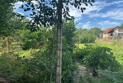 Casă cu 3 camere în Salonta - 3