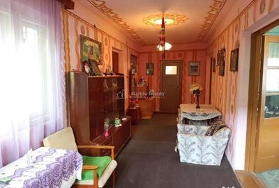 Casă cu 14 camere cu Teren 1439 Mp în Brădișoru de Jos - 7