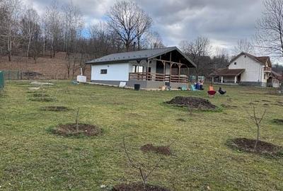 Casă cu 4 camere cu Teren 1700 Mp în Podul Corbului - 3