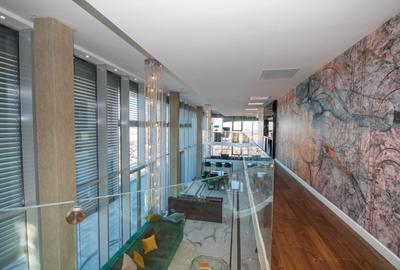 Penthouse de vanzare 5 camere zona Tineretului, Bucuresti 570 mp - 3