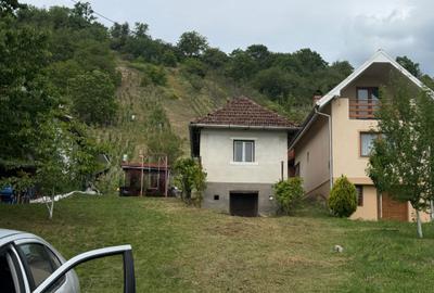Casă cu 1 camere în Orașu Nou - 1