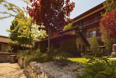 Pensiune de Lux pe Malul Dunarii in Dubova - 14