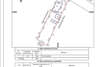 Vand casa din caramida - 5