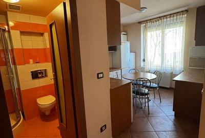 Apartament cu 2 camere, mobilat în Bartolomeu - 9