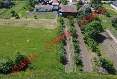 Casă familială de vânzare în Pachia! - 26