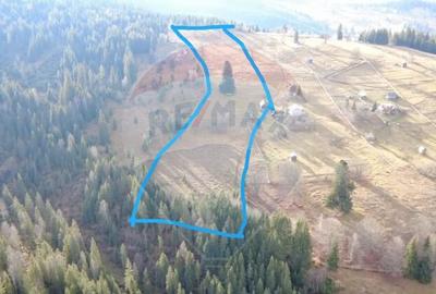 Teren de 26232 mp, în Dorna-Arini - 3