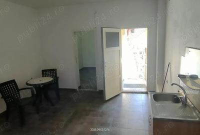 Spatiu comercial Traian de vanzare - 3