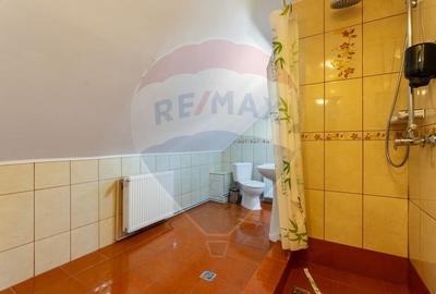 Hotel/Pensiune, de 404 mp, în Vlădeț - Trei Brazi - 13