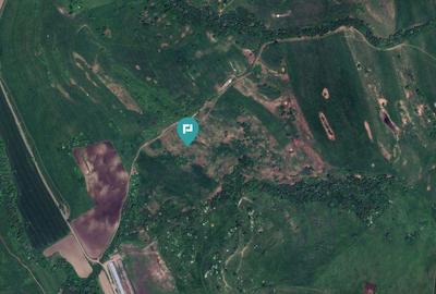 Teren de 195 Hectare Arabil in Cincu, Bra?ov - 3