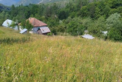 Casă cu 3 camere în Vadu Oii - 1