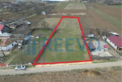 Teren de vanzare, Sat Bazga, Com. Horge?ti, Bacau - 14