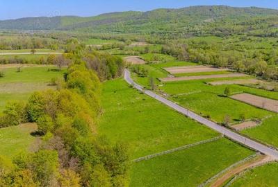 Comision 0%, teren 900 mp, Sinca Noua - 3