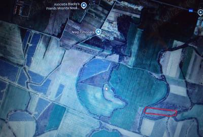 Inchiriez teren Mosnita Noua - 1