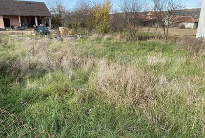 Teren intravilan Varsolt in suprafata de 400mp si 1200 mp ex - 3