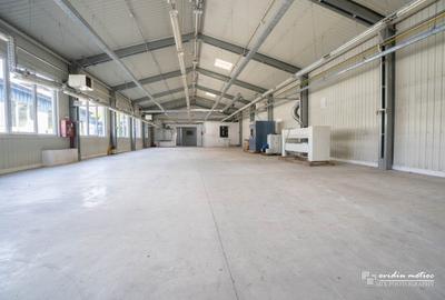 Hale in zona Calea Baciului - 2