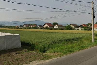 Teren intre case locuite in centrul cartierului Stupini - 2