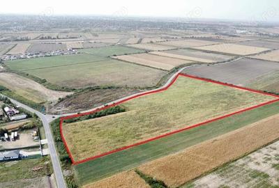 Teren vast in Satu Mare | 76.624 mp pentru dezvoltare imobiliara si servicii - 3