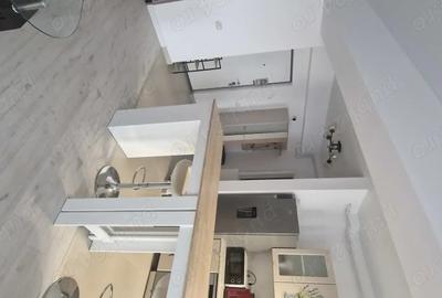Apartament cu 2 camere decomandat în Parcul Carol - 10