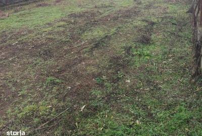 Spațiu comercial, în Cornetu - 1