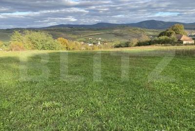 Teren de 27000 mp, în Aghireș