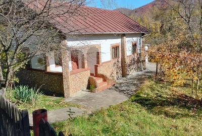 Iedera, Cricovul Dulce, casa de vanzare 90 mp, teren 2.450 mp - 13