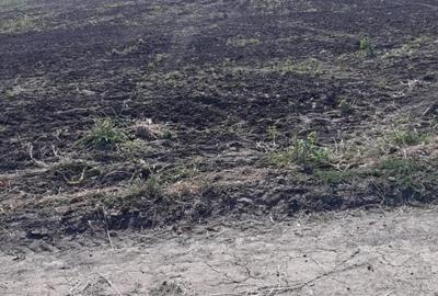 Vand teren extravilan comuna Agigea - 2