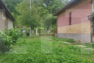 Casă cu 4 camere cu Teren 3745 Mp în Nădrag - 5
