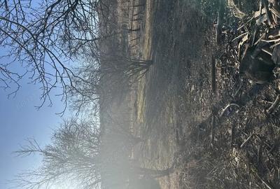 Casă cu 3 camere în Lopadea Veche - 4