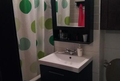 Apartament cu 3 camere semidecomandat în Teiul Doamnei - 9