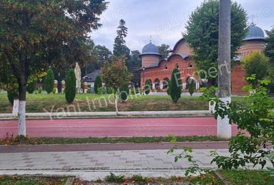 Spa?iu comercial de inchiriat in Curtea de Arge? vizavi de Manastirea Curtea de Arge?. - 5