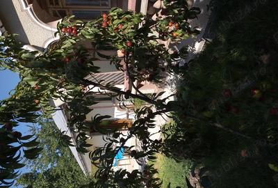 Casă cu 4 camere în Central - 5