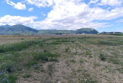 Teren industrial cu PUZ de vânzare in Brașov - 1