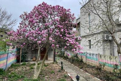 Teren + Casa batraneasca - zona Calea Calarasilor